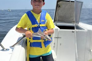 295240512 727516548424758 n