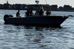 295306341 727516515091428 n