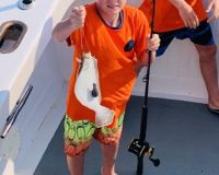 week 2 and 3 3 20210729