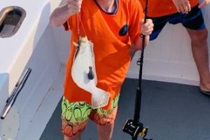 week 2 and 3 3 20210729